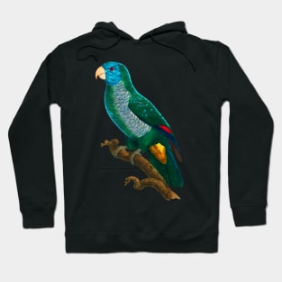 Black Panther Art - Beautiful Parrot 9 Hoodie